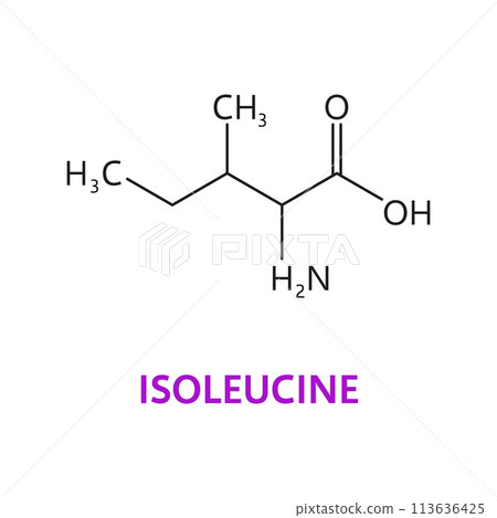 Isoleucine amino acid chemical molecules, essential chain structure. Isolated vector Isoleucine formula c6h13no2, featuring branched-chain structure crucial for protein synthesis and muscle metabolism 113636425