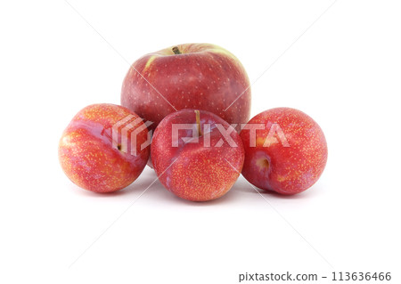 Crimson plums and red apple isolated on white 113636466