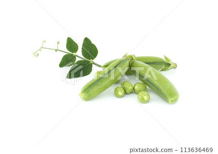 Pea pod with green leaves isolated over white 113636469