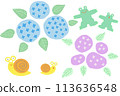 June: Rainy season, hydrangea, frog, snail 113636548