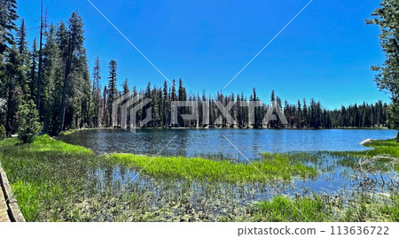 landscape, landscapes, scenics 113636722