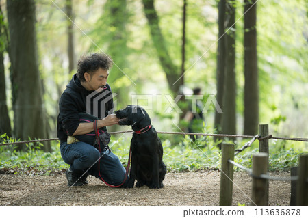 A man walking a dog - A friendly image of a dog trainer and owner 113636878