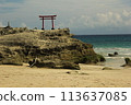 Shirahama Shrine, Daimyojin Rock Red Torii 113637085