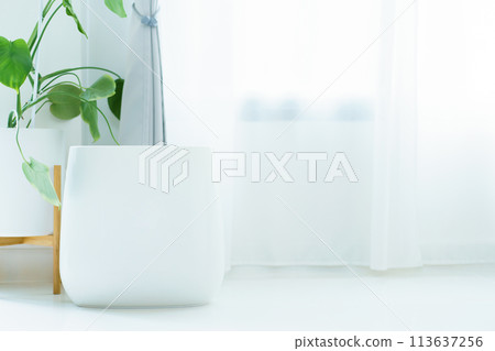 Happy Asian young woman turning on high efficiency air purifier while staying and relaxing in the living room. Woman using air purifier in her house. Happy Asian young woman turning on high efficiency air purifier while staying and relaxing in the living room. Woman using air purifier in her house. 113637256