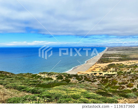 美麗的海洋旁邊有沙灘和草原 美麗的海洋旁邊有沙灘和草原 113637360