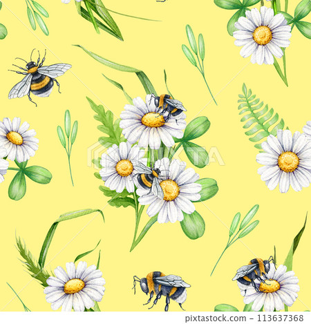 Bee on a daisy flower seamless pattern. Watercolor illustration. Summer meadow flowers with bumblebee floral decor. Bees on a white daisy flowers, green leaves seamless pattern. Warm background 113637368