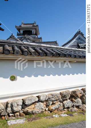 Kochi Castle 113637371