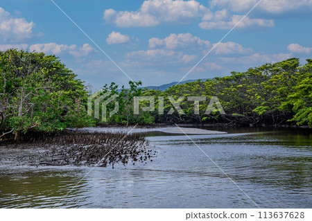 西表島 西表島 113637628