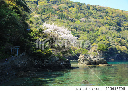 Scenery of Sumiyoshi Shrine in Ikata Town, Ehime Prefecture 113637706