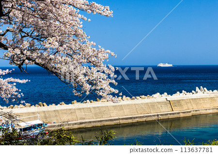[Niigata Prefecture/Sado] Early Spring Sado Route/Ryotsu Bay April 113637781