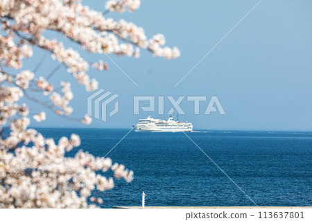 [Niigata Prefecture/Sado] Early Spring Sado Route/Ryotsu Bay April 113637801