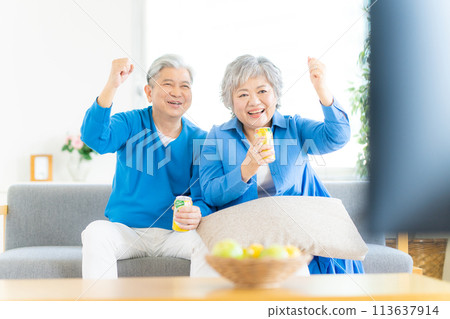 Senior couple watching sports on TV while drinking 113637914