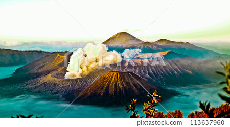beautiful view of Mount Bromo-Semeru 113637960