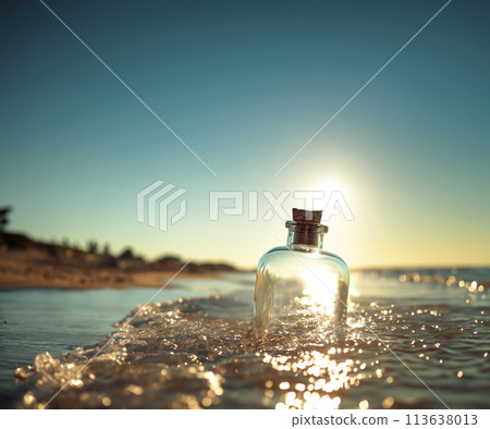 Coast of sunset 113638013