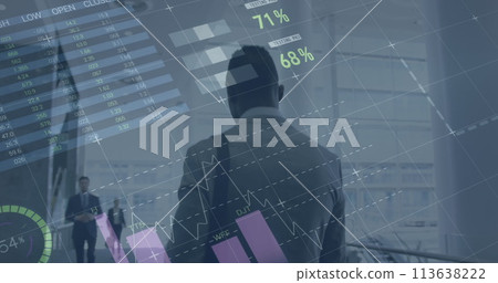 Image of statistics processing over businessman 113638222