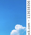 That summer 113638306