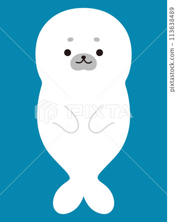 Illustration of a baby seal 113638489