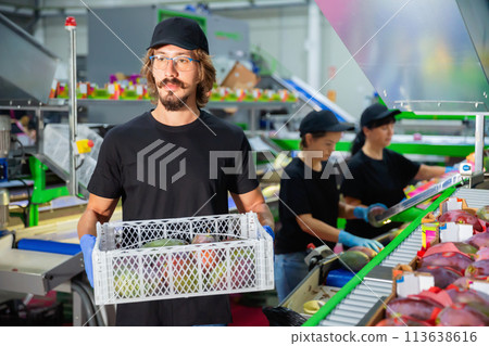 Food factory worker carries boxes of mango fruits at factory 113638616
