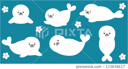 Baby seal vector illustration set 113638617