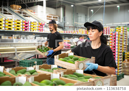 Female worker keeping avocado box in hands Female worker keeping avocado box in hands 113638758