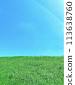 Spring Hill 113638760