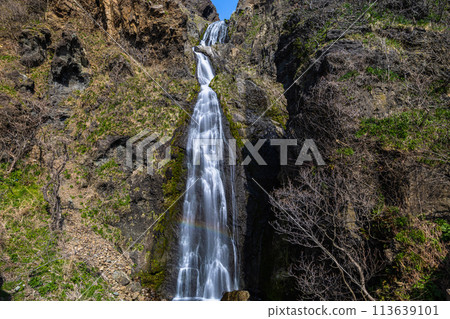 [Niigata Prefecture_Sado_Iwataniguchi] The majestic Tomarigawa Falls that Sado is proud of 113639101