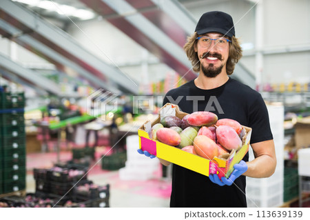 Male warehouse worker loading boxes with mango 113639139