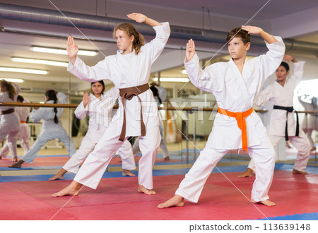 Team of motivated teenagers are engaged in karate in gym Team of motivated teenagers are engaged in karate in gym 113639148