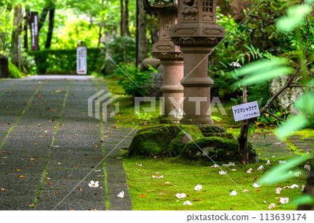 棚倉町 山本不動尊 夏天 棚倉町 山本不動尊 夏天 113639174