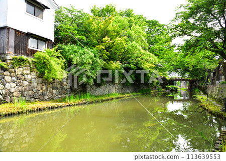 Scenery of Hachimanbori in Omihachiman City, Shiga Prefecture Scenery of Hachimanbori in Omihachiman City, Shiga Prefecture 113639553