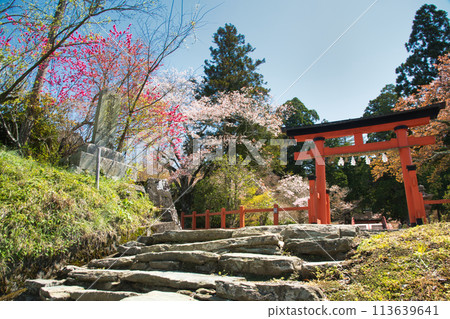 Nyutsuhime Shrine (torii gate) [Katsuragi Town, Ito District, Wakayama Prefecture] 113639641