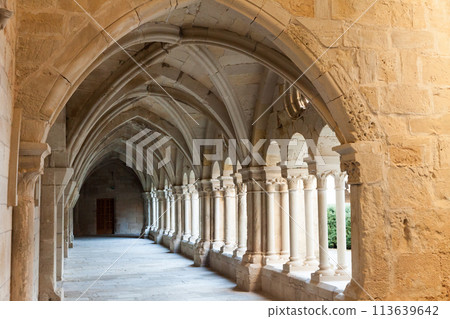 View of Vallbona de les Monges interior 113639642