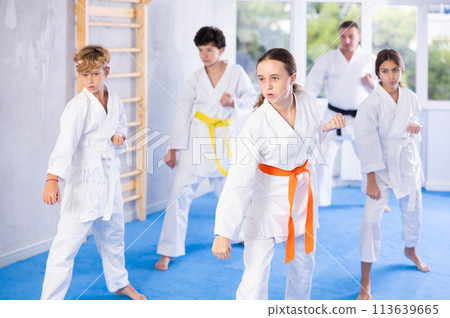 Group of children train karate techniques Group of children train karate techniques 113639665
