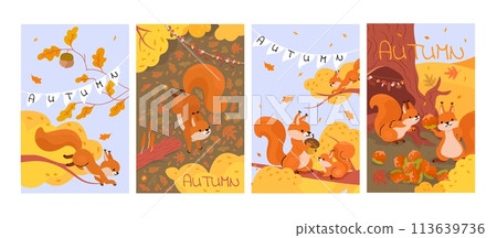 Cards with forest squirrel. Cartoon squirrels in autumn. Wild animal characters sorting and storing food, eating nuts and jumping, nowaday vector banners Cards with forest squirrel. Cartoon squirrels in autumn. Wild animal characters sorting and storing food, eating nuts and jumping, nowaday vector banners 113639736