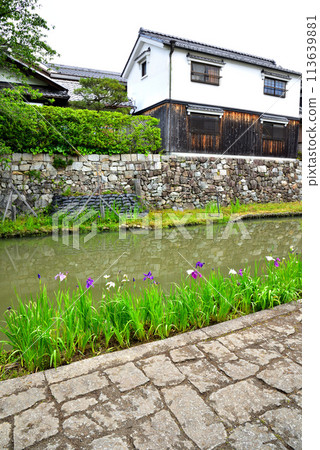 滋賀縣近江八幡市八幡堀風景 滋賀縣近江八幡市八幡堀風景 113639881