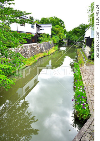 滋賀縣近江八幡市八幡堀風景 滋賀縣近江八幡市八幡堀風景 113640224
