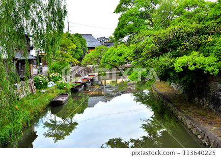 滋賀縣近江八幡市八幡堀風景 滋賀縣近江八幡市八幡堀風景 113640225