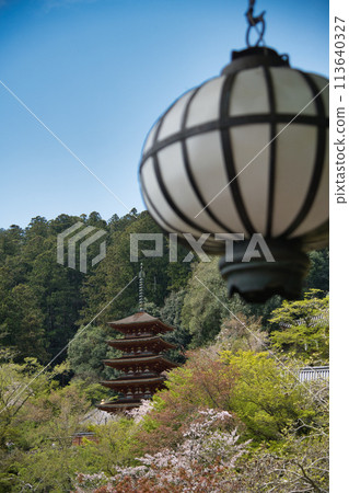 Hasedera Temple (Five-story Pagoda) [Hatsuse, Sakurai City, Nara Prefecture] 113640327