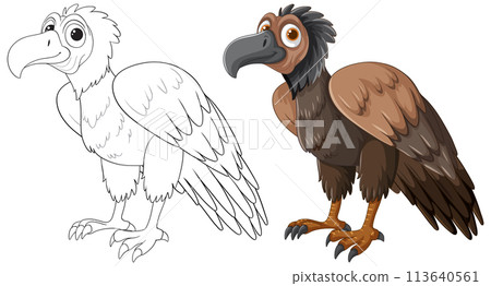 Vulture Illustration: From Sketch to Color 113640561