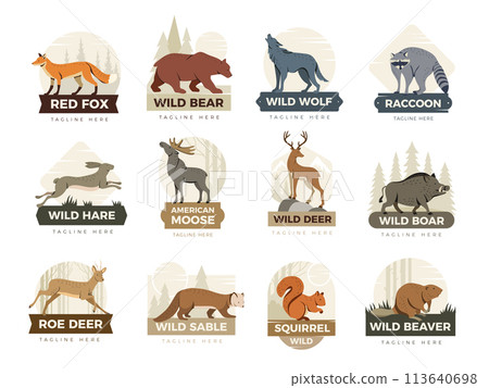 Animal labels. Badges with illustrations of different wild animals recent vector templates Animal labels. Badges with illustrations of different wild animals recent vector templates 113640698