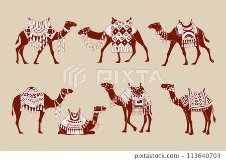 Camels. Stylized illustrations of domestic animals from hot countries deserts of sahara recent vector camels decorative collection 113640703