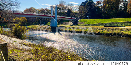跨越新川的埼玉志木市大橋 跨越新川的埼玉志木市大橋 113640779
