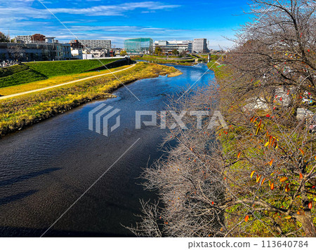 Iroha Water Park and Shingashi River in Shiki City, Saitama 113640784