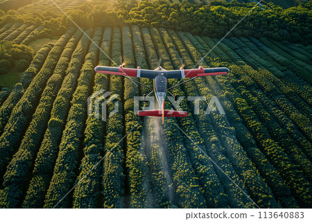 Yellow Airplane Flying Over Lush Green Field Yellow Airplane Flying Over Lush Green Field 113640883