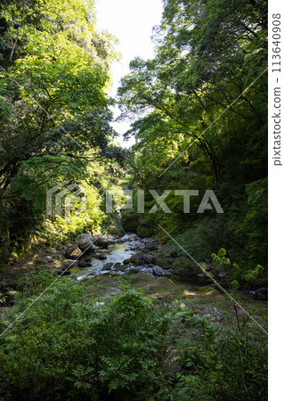 高千穗峽 山谷中清澈的溪流 113640908