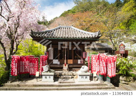 長谷寺（大國堂）[奈良縣櫻井市初瀨] 113640915