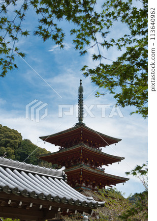 長谷寺（五層塔）[奈良縣櫻井市初瀨] 113640962