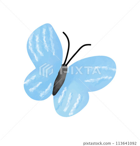 Blue watercolor butterfly doodle art on white  113641092