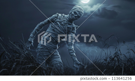 A mummy walks through a field of tall grass under a full moon. A mummy walks through a field of tall grass under a full moon. 113641256