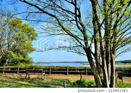 千葉縣:從高野山桃山公園展望台欣賞手賀沼湖的景色 千葉縣:從高野山桃山公園展望台欣賞手賀沼湖的景色 113641361